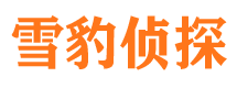 合山捉小三公司